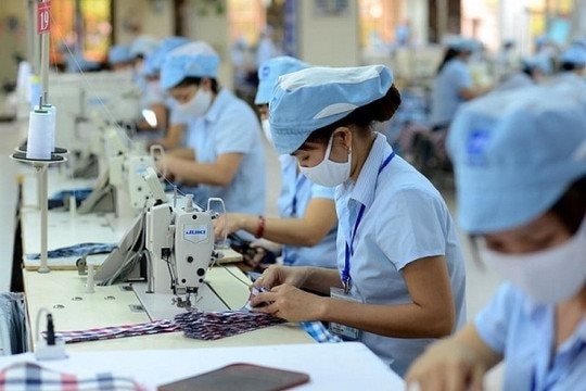 Một doanh nghiệp dệt may lớn báo lãi hơn trăm tỷ sau 5 tháng, hoàn thành 50% kế hoạch năm