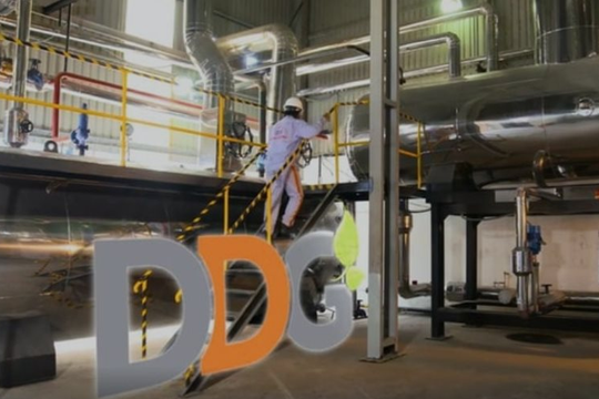 Xuất nhập khẩu Đông Dương (DDG) bị xử phạt nặng vì thông tin sai lệch, không đầy đủ, “ém” thông tin 
