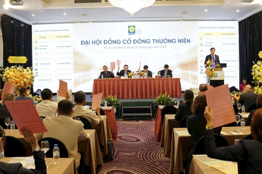 Chủ tịch SAGS: Mất đi Vietjet Airs là mất 20% lợi nhuận, đang quyết liệt lấy hợp đồng với Sun PhuQuoc Airways để "bù đắp"