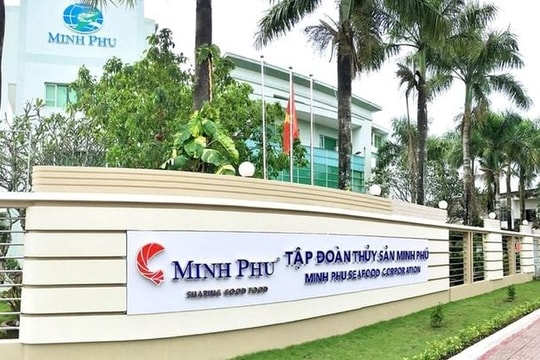 Vua tôm Minh Phú "hì hục" bán lỗ để giải quyết 20.000 tấn hàng tồn kho từ Covid