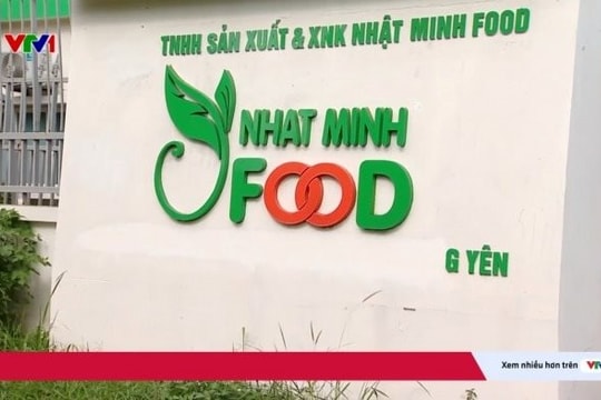 Triệt phá đường dây sản xuất dầu ăn giả cho người từ thức ăn chăn nuôi: 3 năm thu về 8.200 tỷ đồng