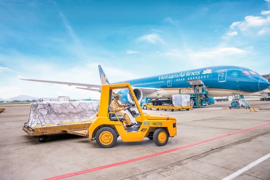Lãi kỷ lục 7 năm, một "đại gia" sân bay sắp chia cổ tức bằng tiền với tỷ lệ 80%