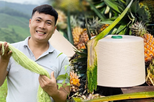 DN thu tiền khủng từ 1 loại lá: TQ không có nguyên liệu để làm, VN có hàng triệu tấn, phần lớn bị đốt bỏ