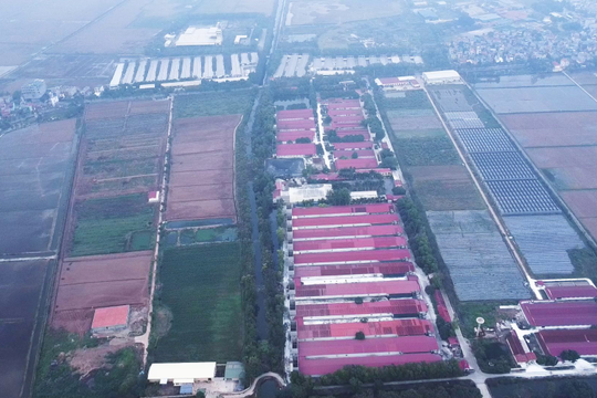 Dabaco được chấp thuận đầu tư dự án Cụm công nghiệp Lạc Vệ tại Bắc Ninh