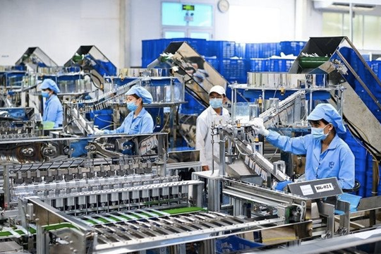 Bất chấp bất ổn toàn cầu, điều kiện tín nhiệm tại Việt Nam vẫn ổn định trong năm 2025
