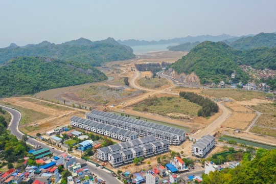 Vinaconex muốn thoái sạch vốn, doanh nghiệp làm dự án Cát Bà Amatina kéo dài hơn 2 thập kỷ đang thế chấp ngân hàng những gì?