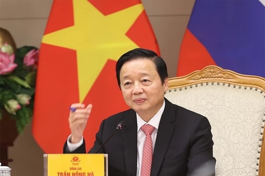 Vụ Tập đoàn Sơn Hải trượt thầu: Phó Thủ tướng phê bình Bộ Tài chính, yêu cầu báo cáo 4 việc trước 5/7