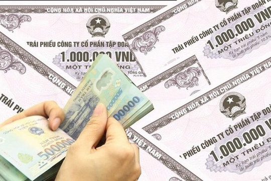 Tân Liên Phát Tân Cảng lỗ gần 400 tỷ đồng trong năm 2024
