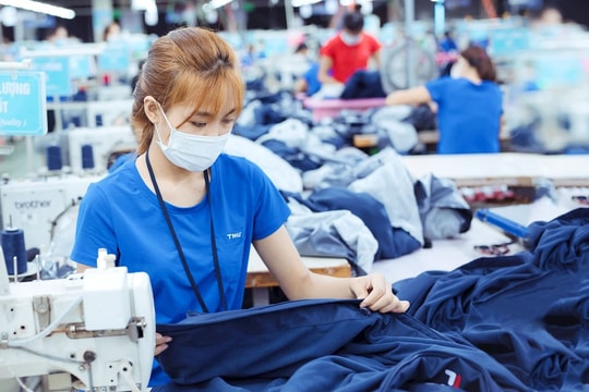 Ngành dệt may Việt Nam lần đầu ghi nhận xuất khẩu giảm trên 10% sau 30 năm