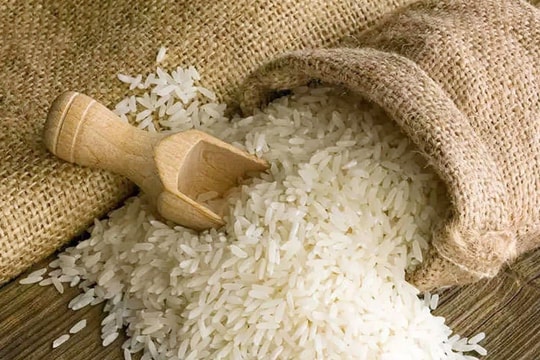 Lộc Trời tháp tùng Thủ tướng 'mở cánh cửa' cho gạo Việt ở đất nước 210 triệu dân