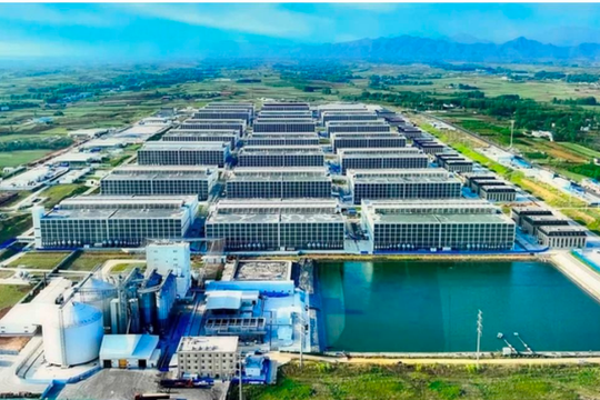 Tỉnh Tây Ninh “gật đầu” cho BAF triển khai “chung cư nuôi heo” đầu tiên Việt Nam: Tạo 100.000 heo/năm chỉ cần 95 nhân công, diện tích đất 6,7ha - tiết kiệm được 10 lần