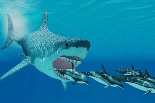 P-Notes - dòng tiền đang ồ ạt gom hàng nghìn tỷ đồng cổ phiếu Việt Nam?