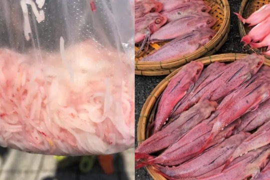 Liên tiếp các vụ người dân phát hiện “cá uống Sting”, “bún tươi chuyển đỏ”: Diễn biến mới nhất thế nào?
