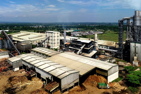 Lỗi đánh máy, một công ty gỗ đặt mục tiêu doanh thu cả triệu tỷ đồng, gấp 5 lần Hòa Phát, 3 lần Vingroup 