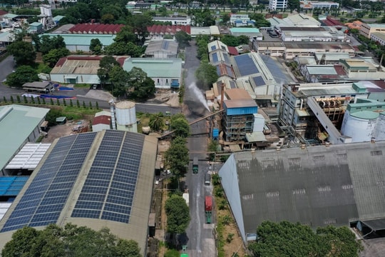 Một khu công nghiệp chấm dứt hợp đồng với toàn bộ các doanh nghiệp đang thuê kể từ ngày 1/8