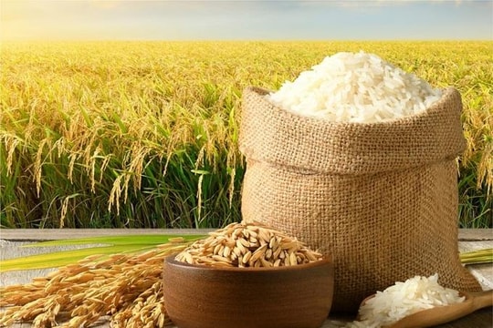 Công ty xuất khẩu gạo lớn nhất Việt Nam nhận nhiệm vụ xây siêu trung tâm logistics nông sản
