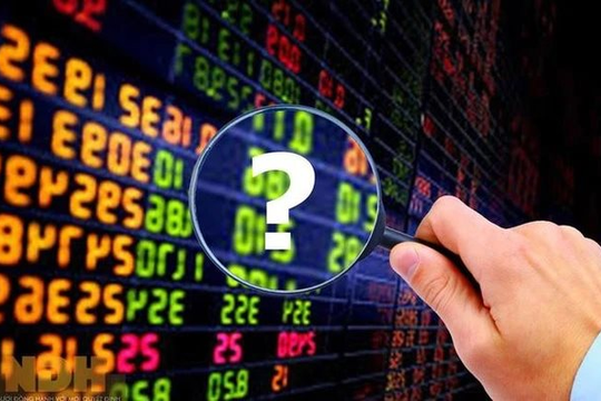 "Đón sóng" kết quả kinh doanh nửa cuối năm, nhóm cổ phiếu nào kỳ vọng thu hút dòng tiền?