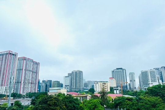 Chung cư được ưa chuộng, đất nền sụt giảm