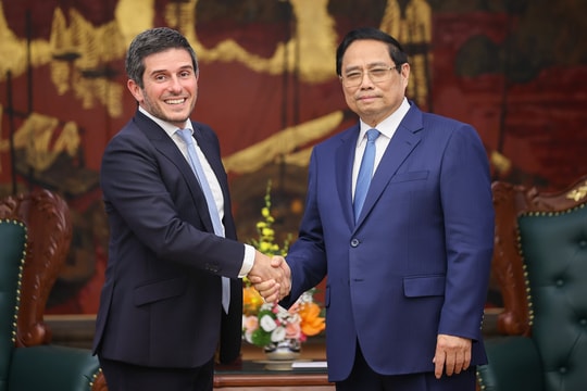 Việt Nam có một thị trường sở hữu đặc điểm dẫn đầu Đông Nam Á, vượt cả Thái Lan, Singapore