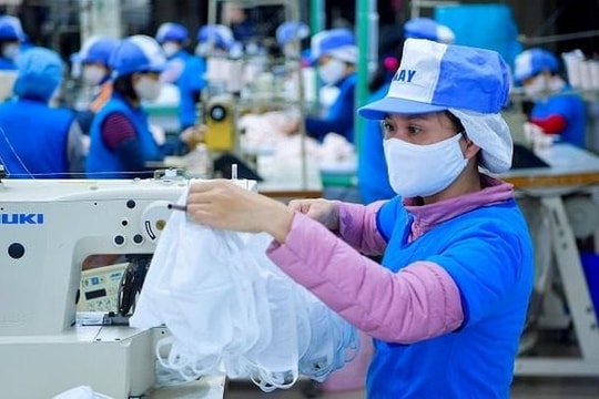 Tập đoàn dệt may Vinatex báo lãi bán niên cao nhất 3 năm, tăng 112% so với cùng kỳ 