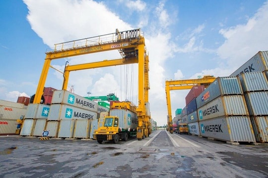 Một doanh nghiệp cảng biển chốt ngày trả cổ tức 30%, 'soi' lịch sử trả cổ tức 'đều như vắt tranh'