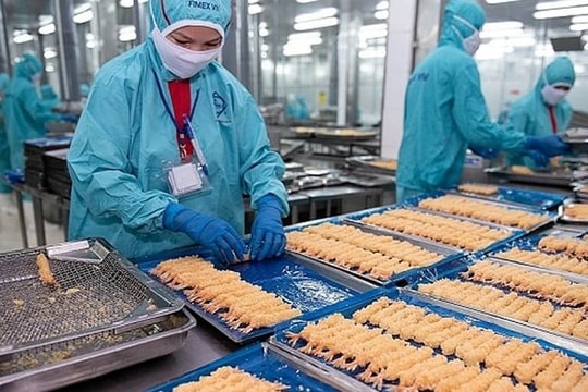 Lợi nhuận Sao Ta quý 2/2025 vẫn tăng 22% bất chấp gánh nặng thuế đối ứng và chống trợ cấp