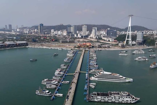 Ngành kinh tế "nghịch quy luật" phất mạnh, Quảng Ninh sẵn sàng đón "mùa vàng bội thu"