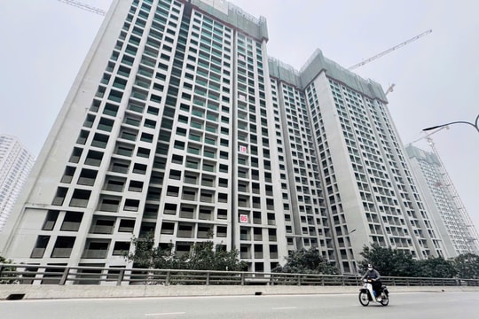 Chuyên gia Savills: Áp thuế 20% trên lãi thực tế khi
chuyển nhượng BĐS nguy cơ đẩy giá nhà tăng cao