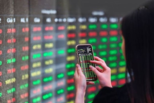 Loạt cổ phiếu vốn hoá lớn “tím lịm” trở lại, VN-Index hồi phục hơn 14 điểm