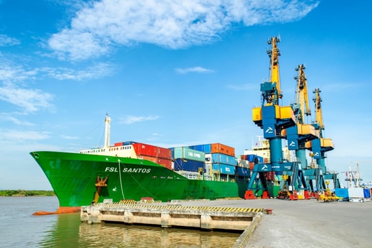 Công ty sở hữu đội tàu container lớn nhất Việt Nam báo lãi sau thuế quý 2/2025 gấp 3 lần cùng kỳ, lập đỉnh lợi nhuận 