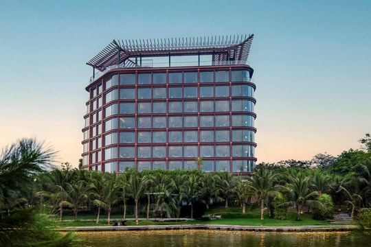 Doanh thu OCH tăng trưởng hơn 16% sau 6 tháng đầu năm 2025