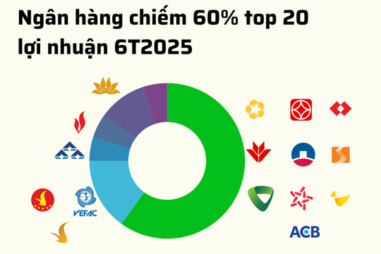 20 doanh nghiệp niêm yết lãi lớn nhất 6T2025: 60% là ngân hàng, 15% là bất động sản, chỉ có 1 DN sản xuất