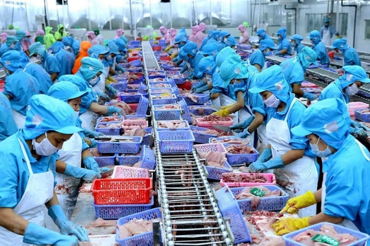 Ngành thủy sản Việt Nam đang "để trống sân nhà”