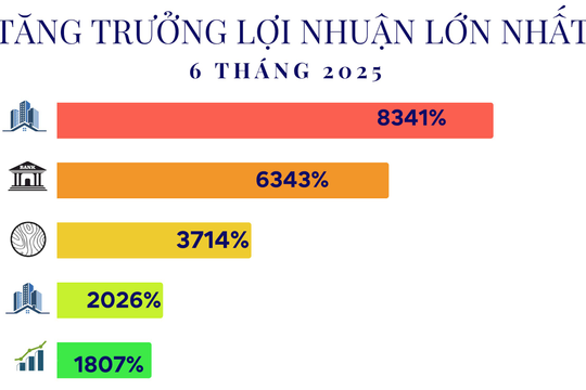 15 công ty tăng trưởng lợi nhuận 'khủng' nhất 6T2025: Đứng đầu là doanh nghiệp của tỷ phú Phạm Nhật Vượng, ngành điện góp mặt nhiều nhất