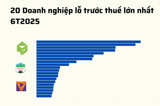 20 doanh nghiệp lỗ lớn nhất 6T2025: Novaland 'vô địch', bất động sản áp đảo, 8 doanh nghiệp lỗ trăm tỷ