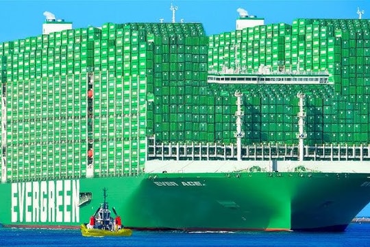 Hai tàu Evergreen gặp nạn liên tiếp: Hơn 50 container rơi xuống biển