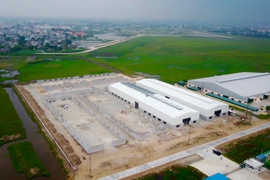 Việt Nam đang chuyển mình thành một trung tâm logistics tích hợp, bền vững và đầy tiềm năng trong khu vực