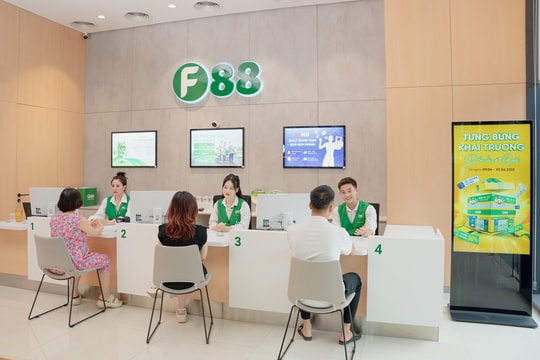 Chào sàn ngày 8/8, cổ phiếu F88 tăng trần lên giá 888.800 đồng, "chắc chân" thị giá lớn nhất sàn chứng khoán Việt 