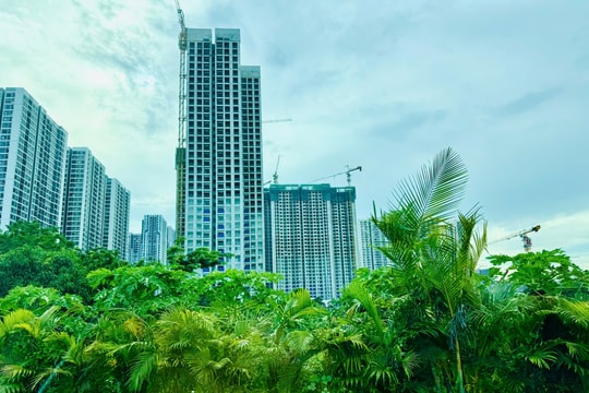 Giới trẻ “ngại cưới, lười sinh” do giá nhà tăng quá cao