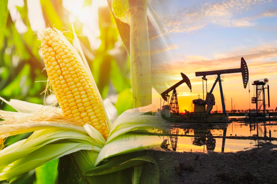 MXV-Index quay đầu giảm điểm, giá ngô lao dốc kéo thị trường nông sản chìm trong sắc đỏ