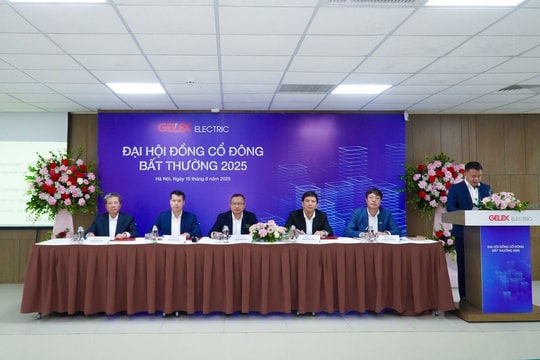 Lãnh đạo GELEX Electric (GEE) trả lời cổ đông về tin chuyển nhượng cổ phần cho đối tác ngoại