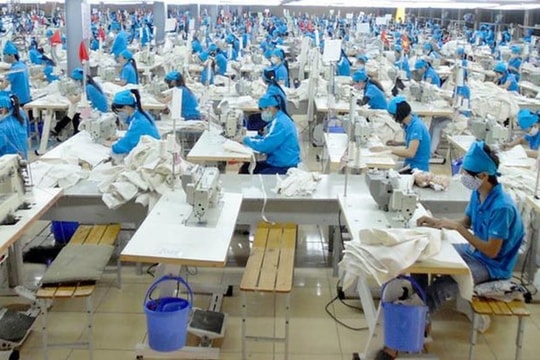 Gilimex trình cổ đông nội dung liên quan vụ kiện Amazon