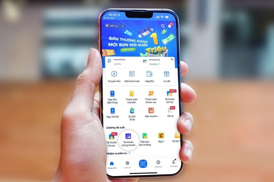 Doanh nghiệp nào đứng sau các sản phẩm 'tiền tự đẻ ra tiền' của Zalo Pay và các ngân hàng