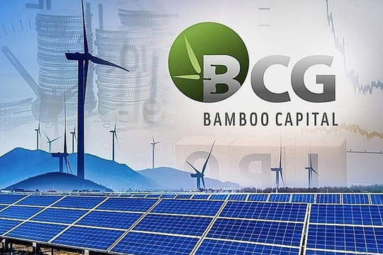Cổ phiếu “họ” Bamboo Capital tăng bứt phá, đồng loạt hút mạnh dòng tiền từ nhà đầu tư