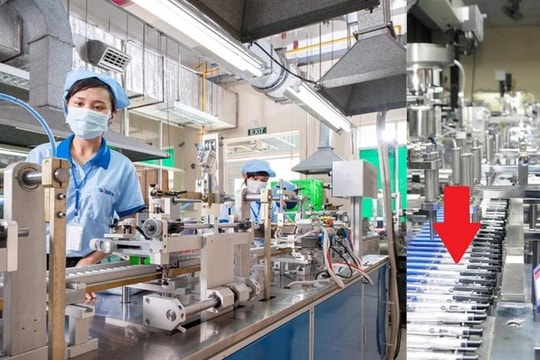 Bán sản phẩm chỉ bằng cốc trà đá khiến 74 quốc gia đặt mua, DN Việt lại “chơi lớn” ở “xứ sở nghìn đảo” 