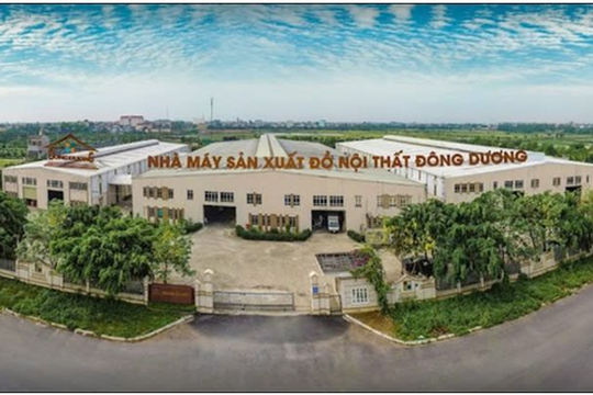 Xây dựng Đông Dương (DDB) bị phạt nặng vì công bố thông tin chậm và “vẽ” lợi nhuận ảo