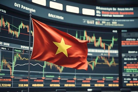Cá nhân ồ ạt đổ tiền, một lĩnh vực kinh tế của Việt Nam bước vào thời kỳ 'siêu sôi động'"