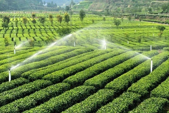 Thêm trường hợp mới sẽ được bồi thường khi Nhà nước thu hồi đất, người dân lưu ý!