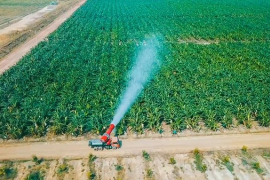 Thaco Agri của tỷ phú Trần Bá Dương có tổng tài sản tăng vọt lên hơn 67.000 tỷ đồng, vượt Becamex, Vincom Retail, gấp 3 lần HAGL