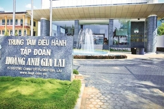Thay đổi lô trái phiếu 1.000 tỷ của Công ty con Hoàng Anh Gia Lai (HAG): Giảm lợi tức được chia từ các công ty trông dâu tằm và cà phê còn 11,5%